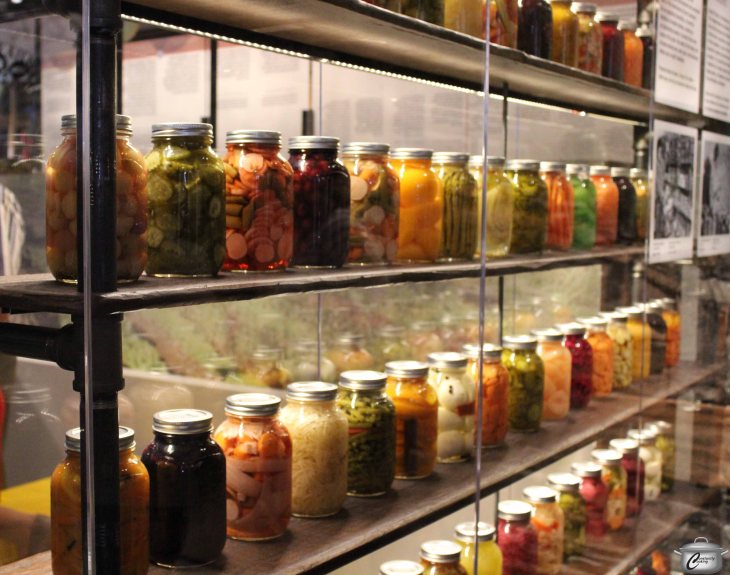 The exhibition is informative, engaging and very visually appealing.