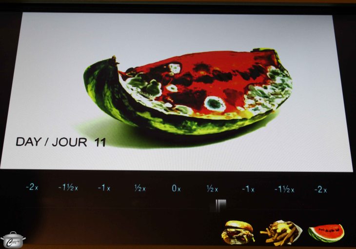 Among the exhibit's many interactive elements is this great touch-screen animation showing how foods decompose as they rot. Tweens and teens will love it!