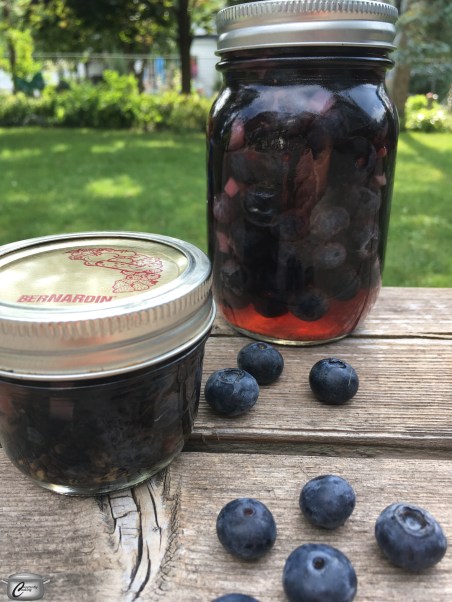 pickled_blueberries_watermarked