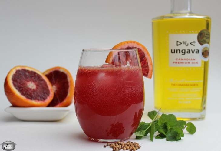 Blood Orange Ungava Gin Smash