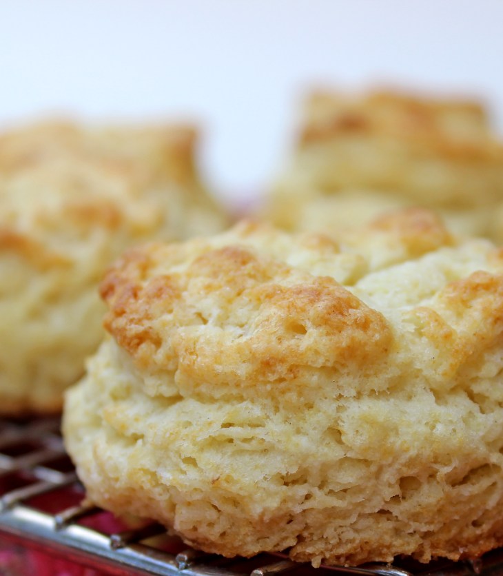 better baking powder biscuits