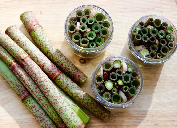 06241E19-761B-4B7F-B0D7-D9C101314BA5